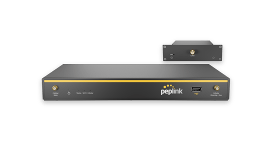 Balance 20X (with FlexModule Mini LoRaWAN)