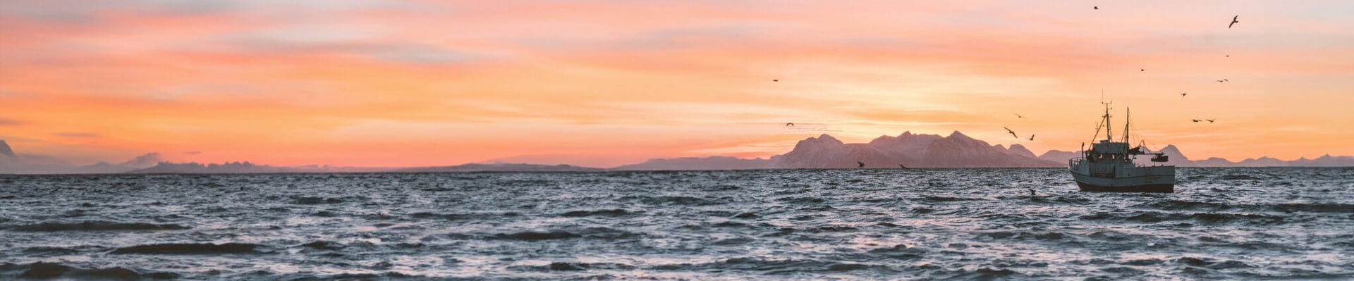   Starlink with Peplink Solution Boosts Fishing Trawler Connectivity  