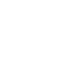 Finalist in Create Your Own Category Smart Fleet Connectivity Award