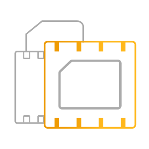 Icon Flexible SIM Options