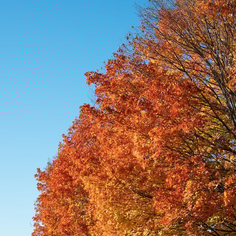 Storm King Art Center 6