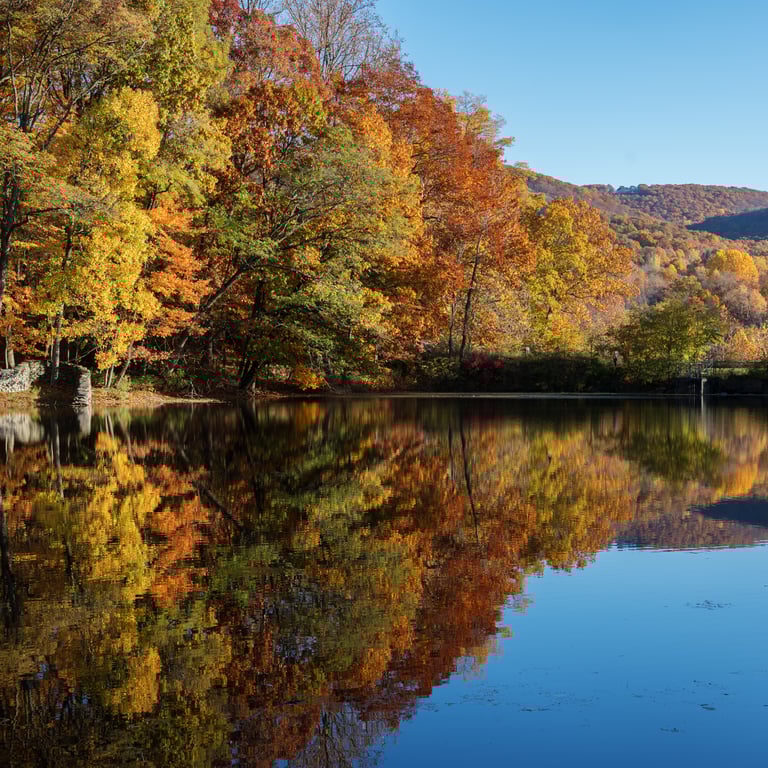 Storm King Art Center 5