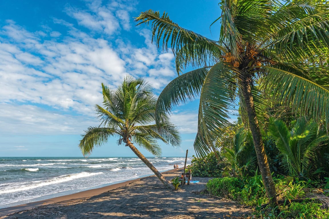 imagen de parque nacional tortuguero