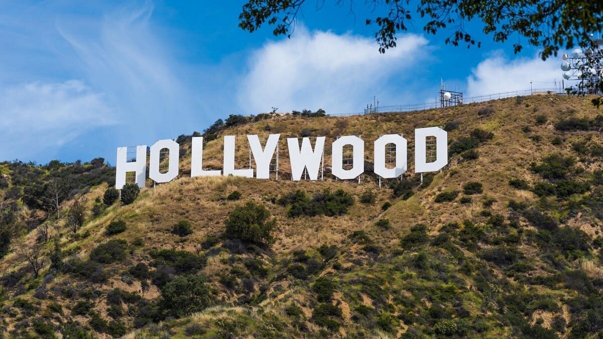 Best Things To Do in Los Angeles 2023