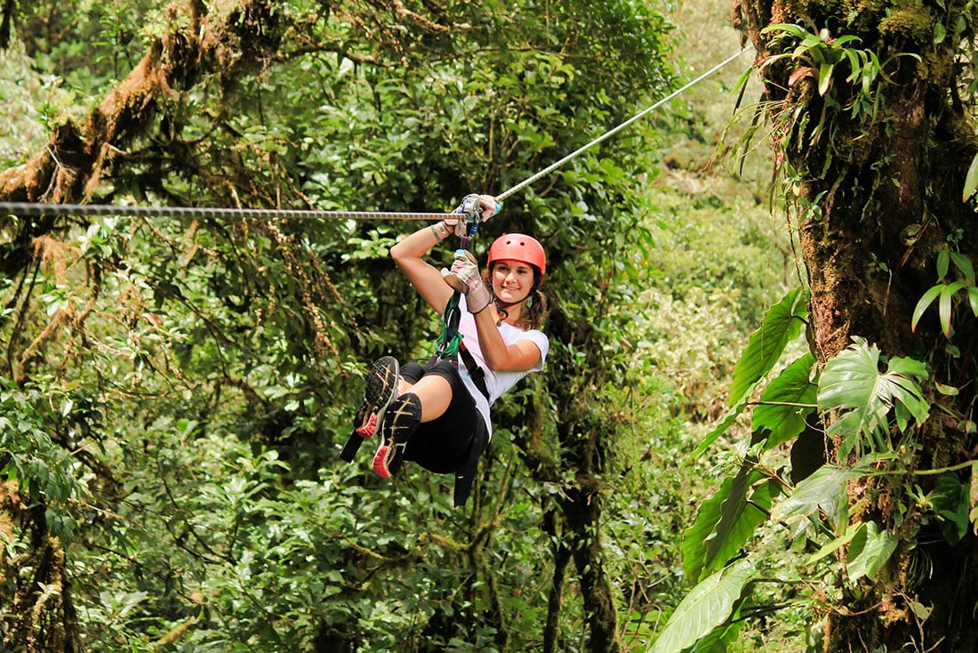 imagen de canopy en monteverde