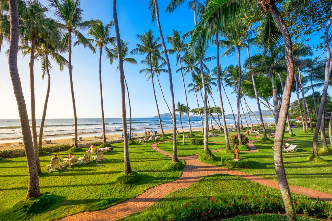 imagen de Tamarindo Guanacaste