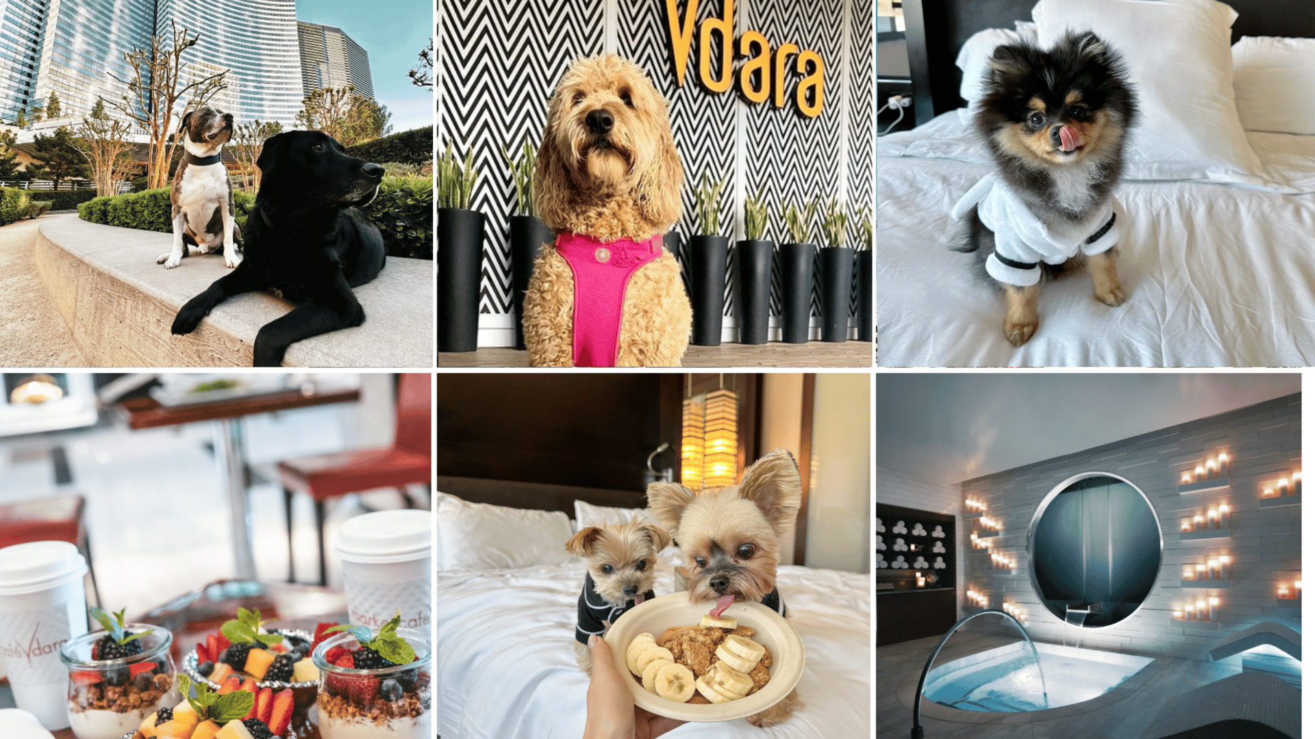 Hotel Vdara