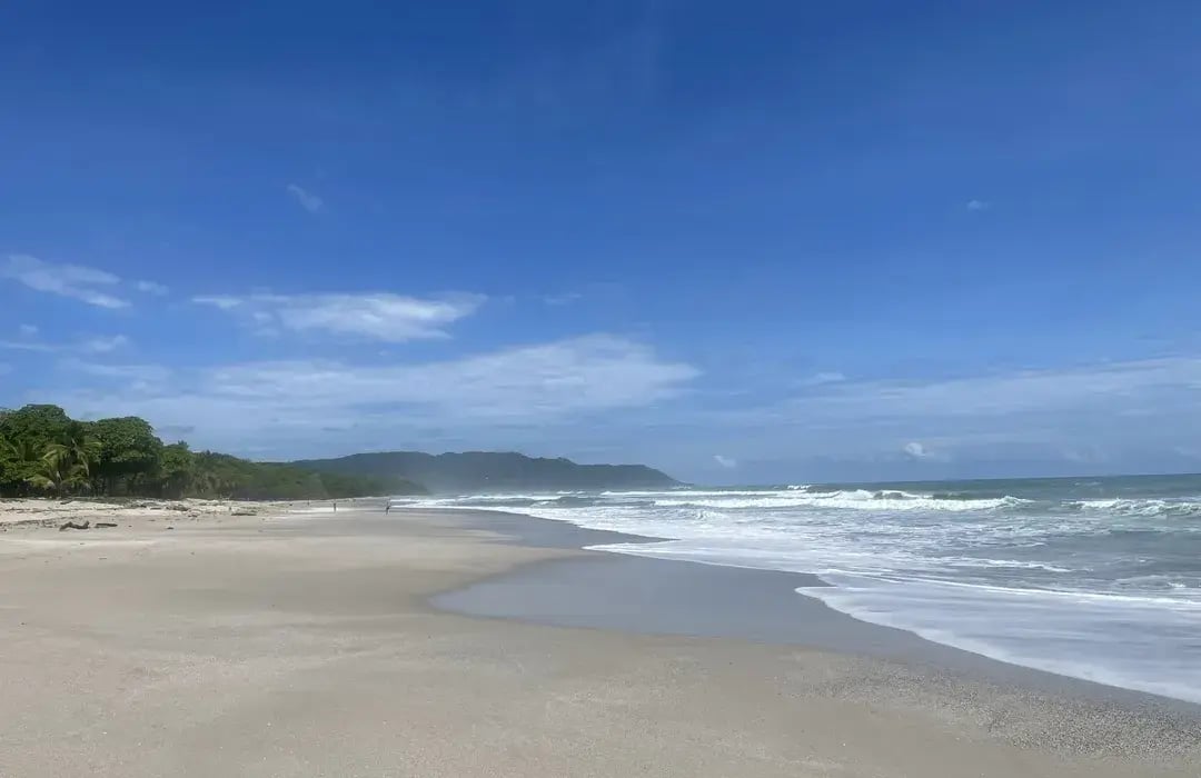 imagen de 