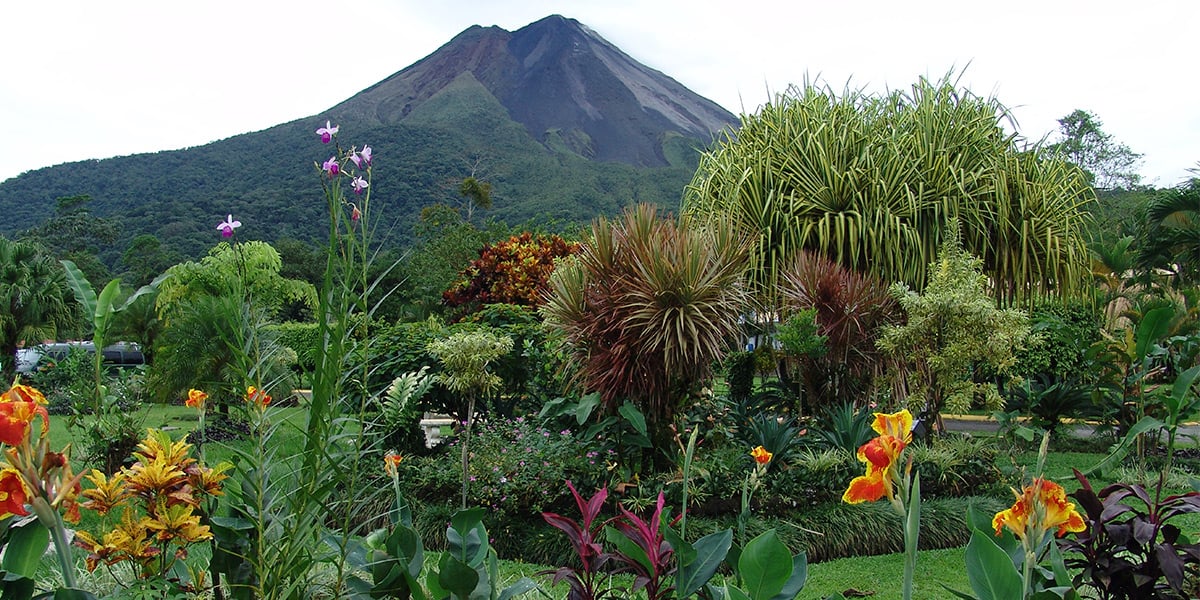 imagen de naturaleza en el volcán Arenal