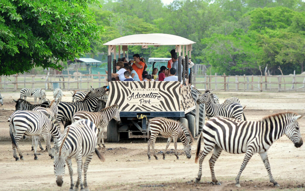 imagen del safari en ponderosa