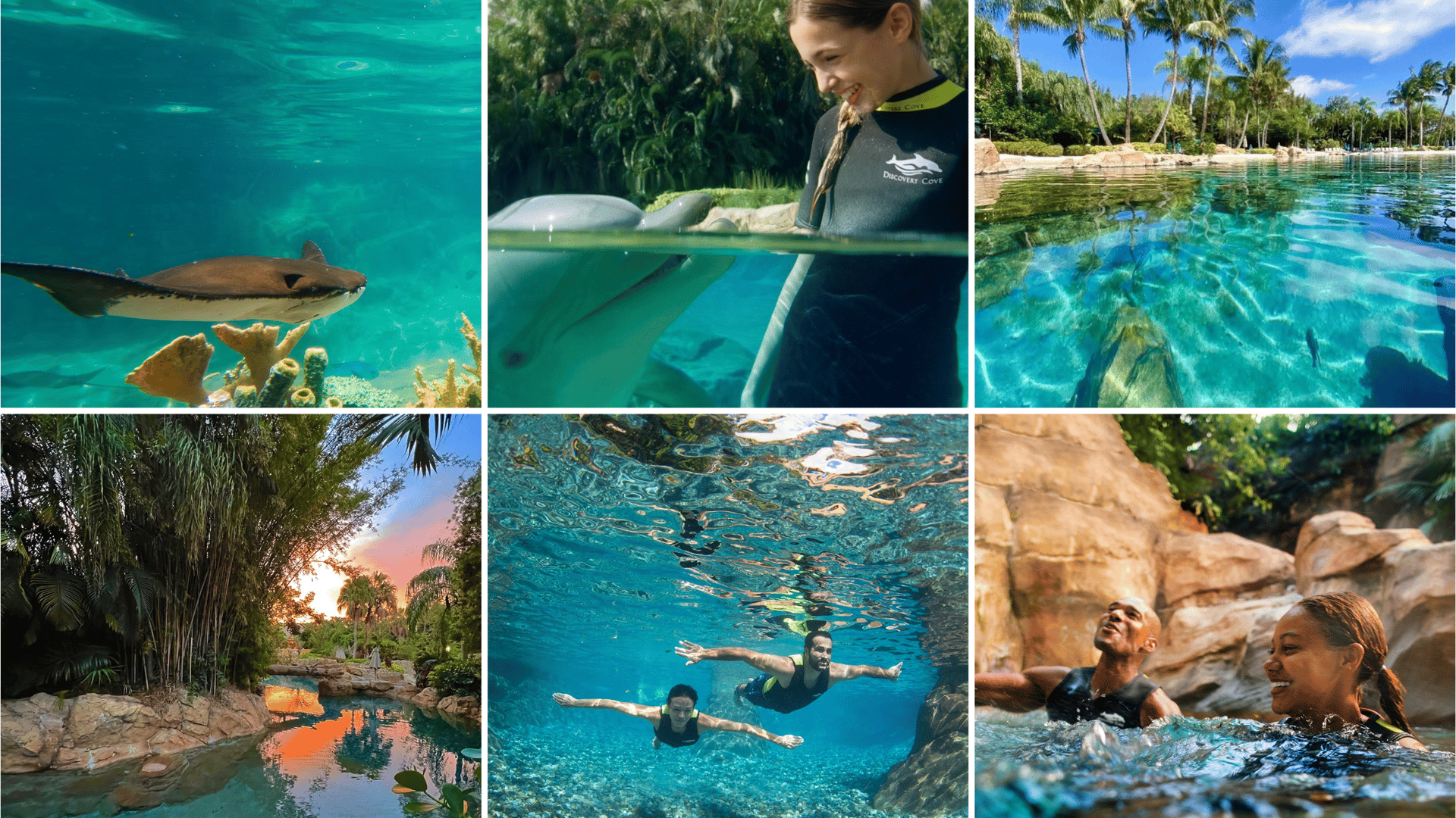 Discovery Cove