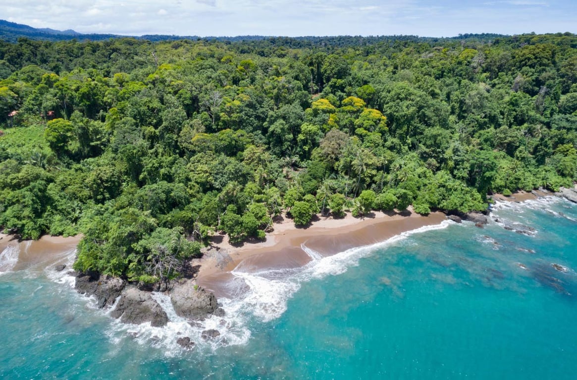 imagen de Parque Nacional Corcovado, Península de Osa