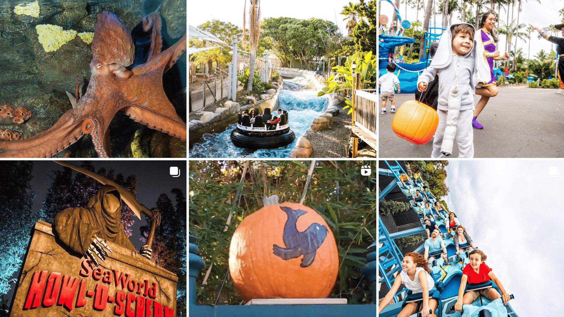 Seaworld San Diego