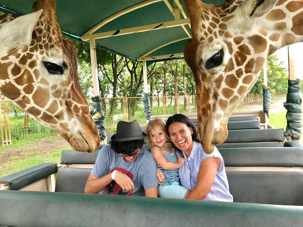 imagen de familia divertirse en ponderosa