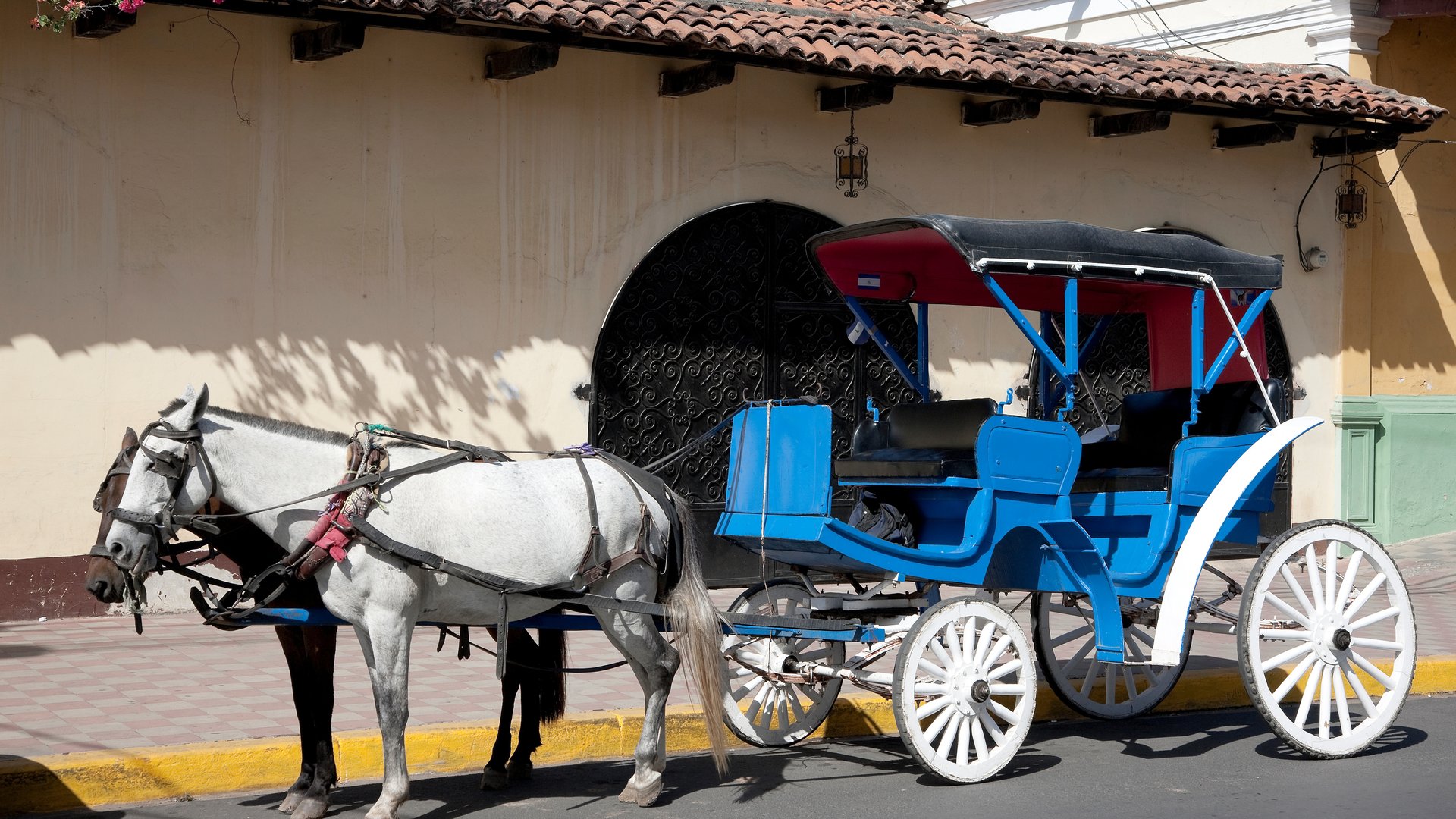 granada carriage