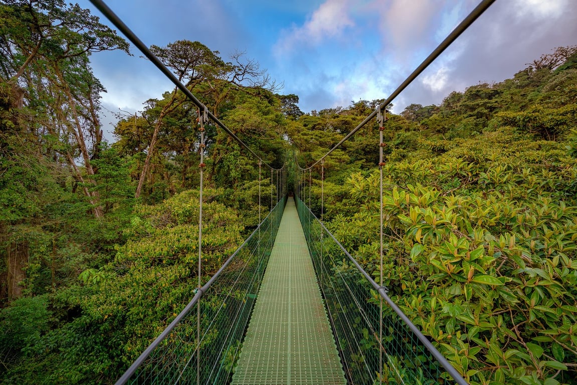Monteverde: Paraíso del Bosque Nuboso