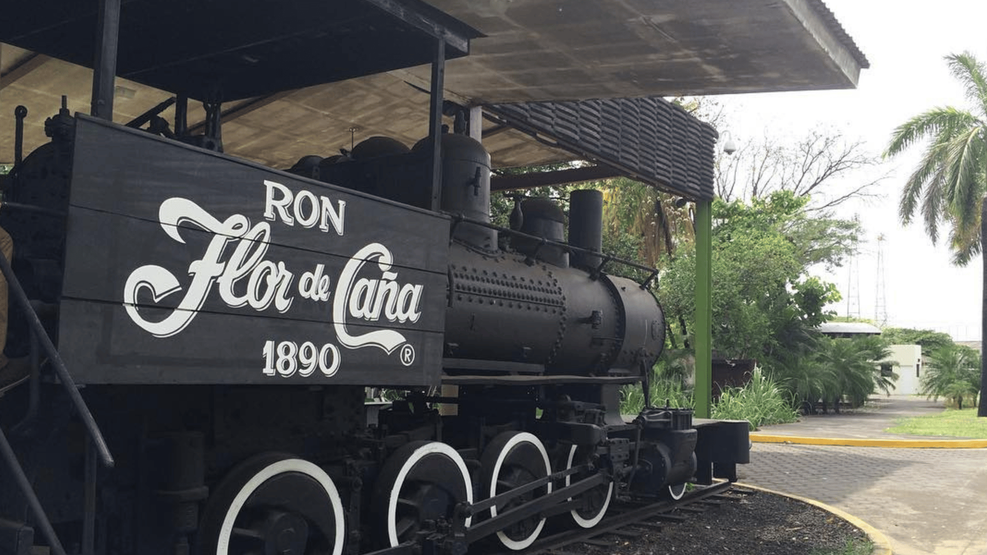 Flor de Caña Tour