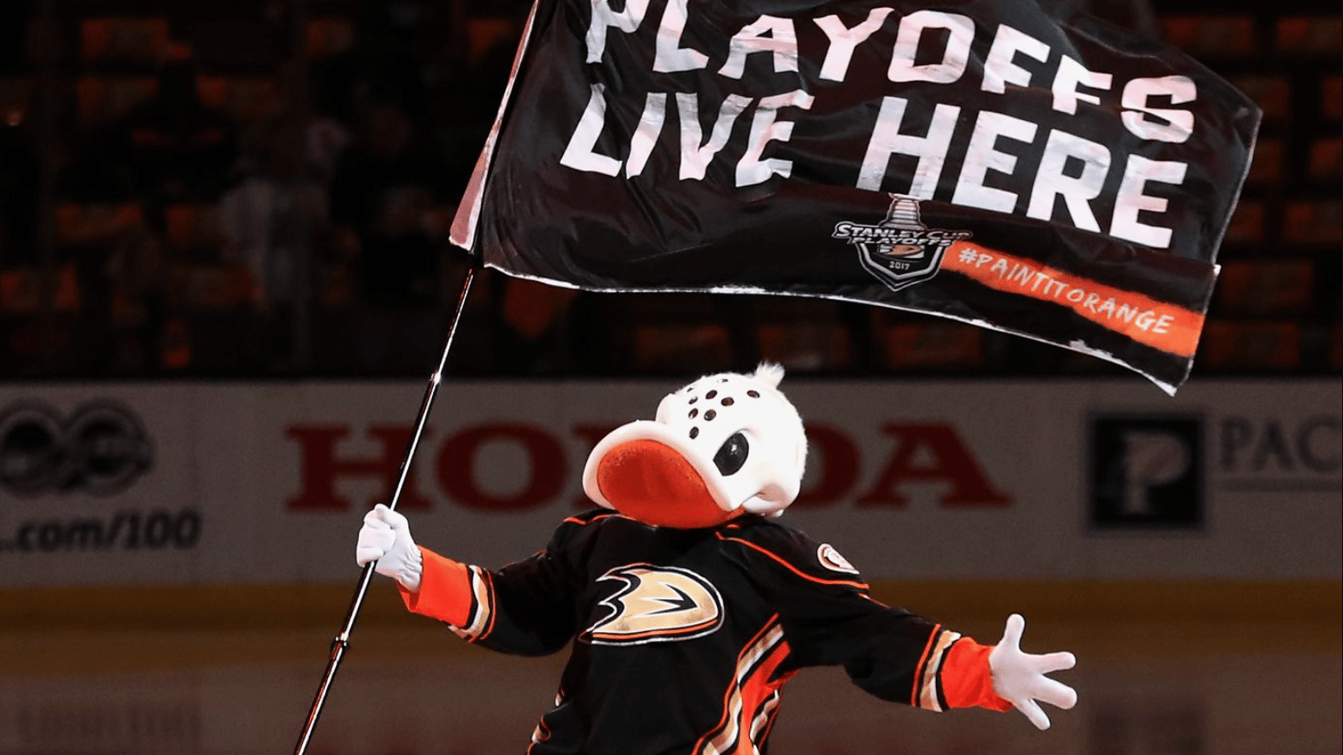 Wild Wing