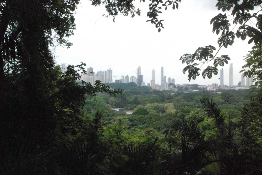 imagen de Parque Natural Metropolitano