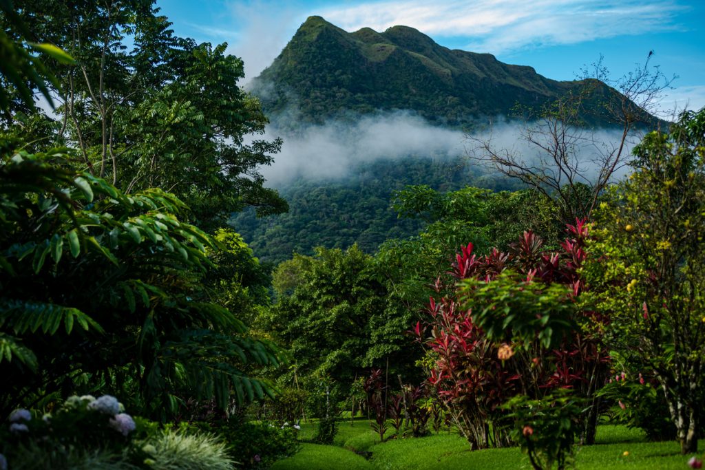 imagen de valle anton