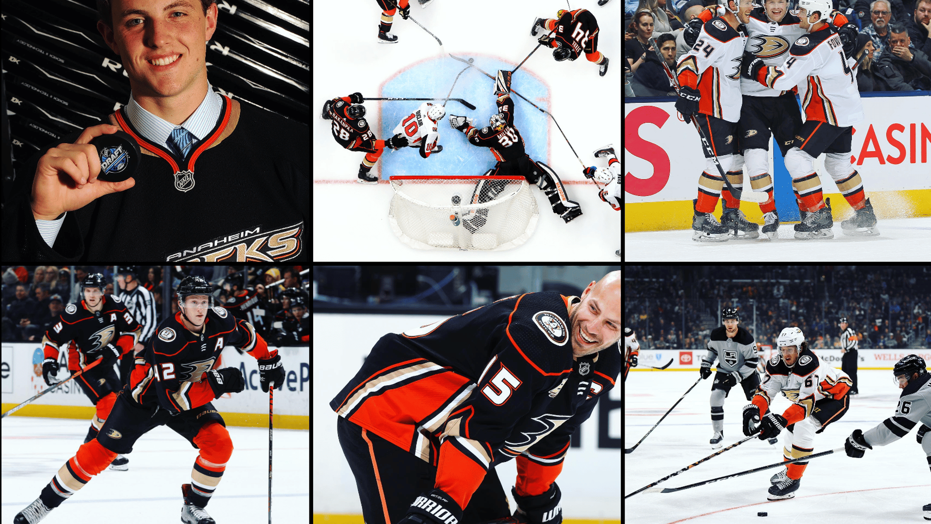 Ducks Anaheim