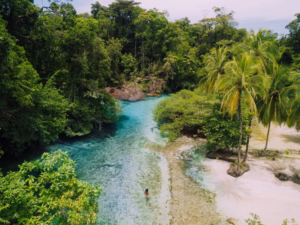 imagen de bocas del toro