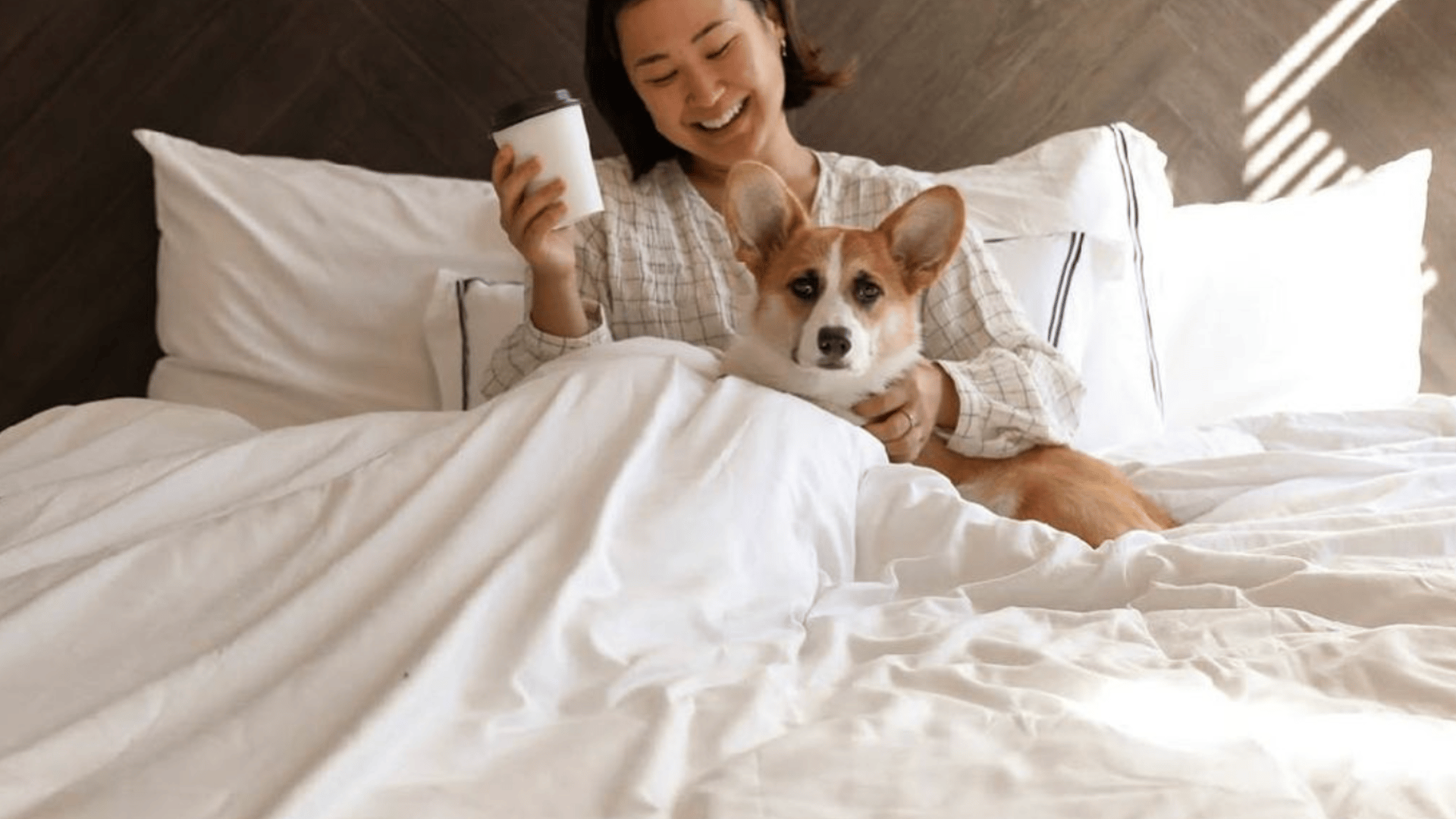 Hoteles Pet Friendly California