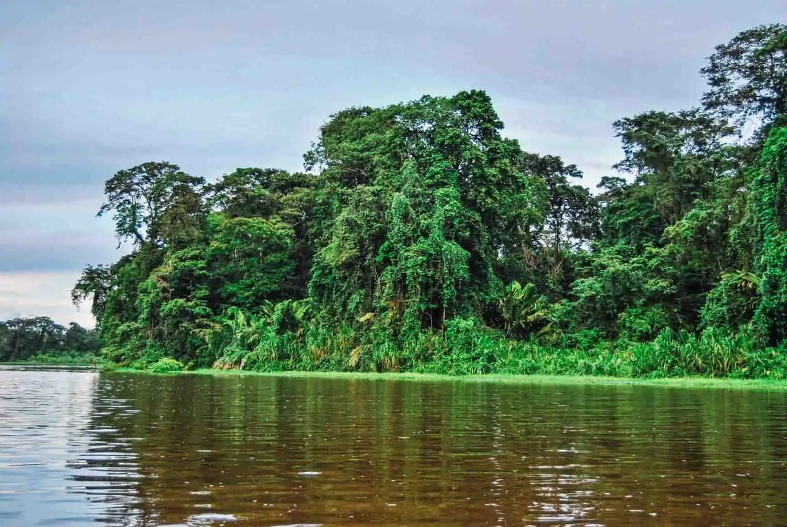 imagen de parque nacional tortuguero