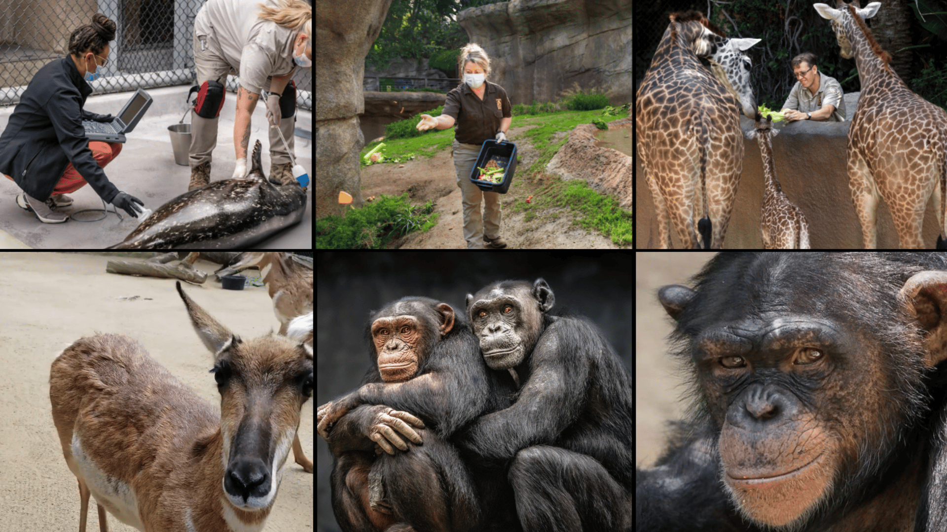 Los Angeles Zoo