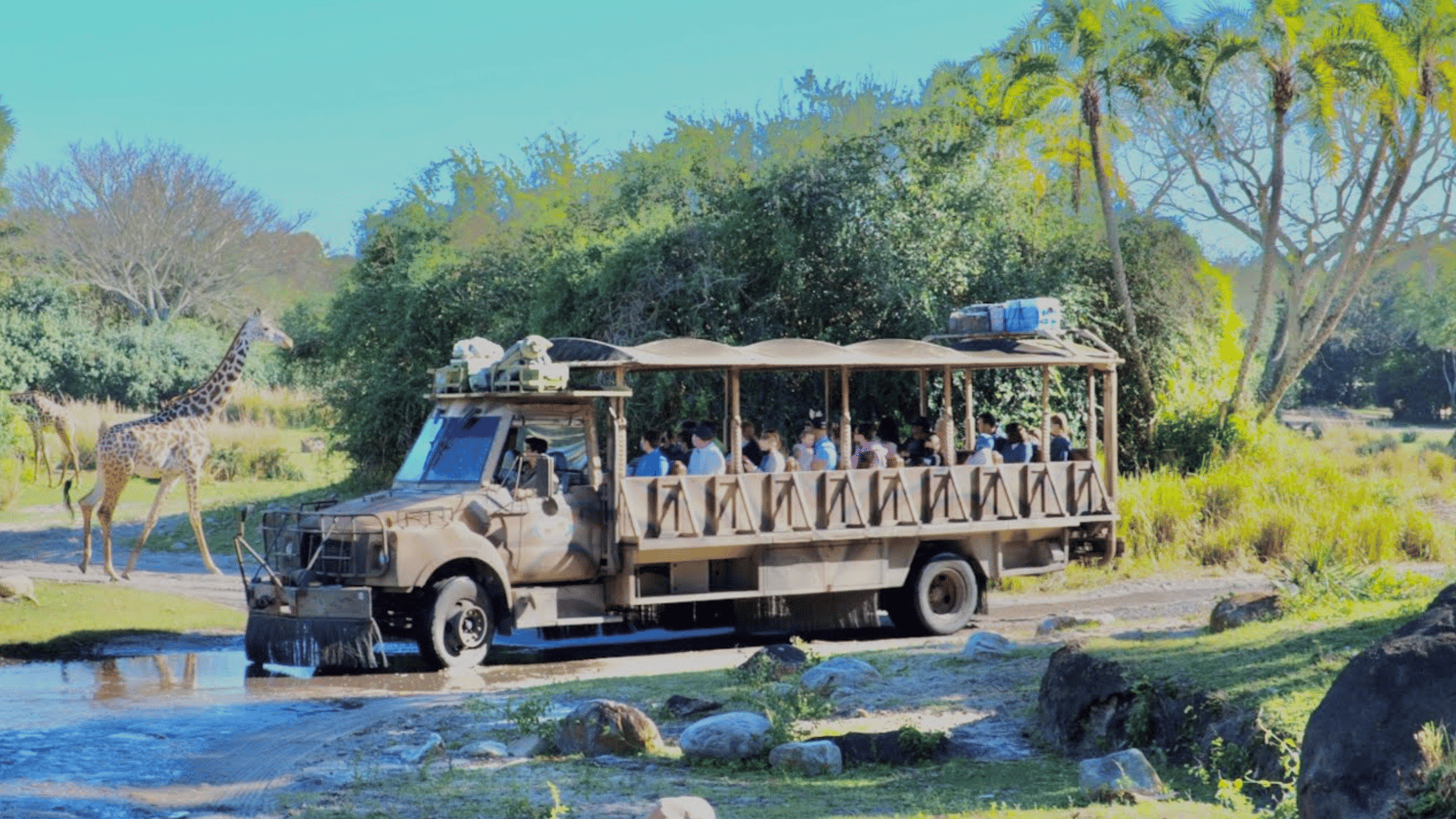 Kilimanjaro Safari
