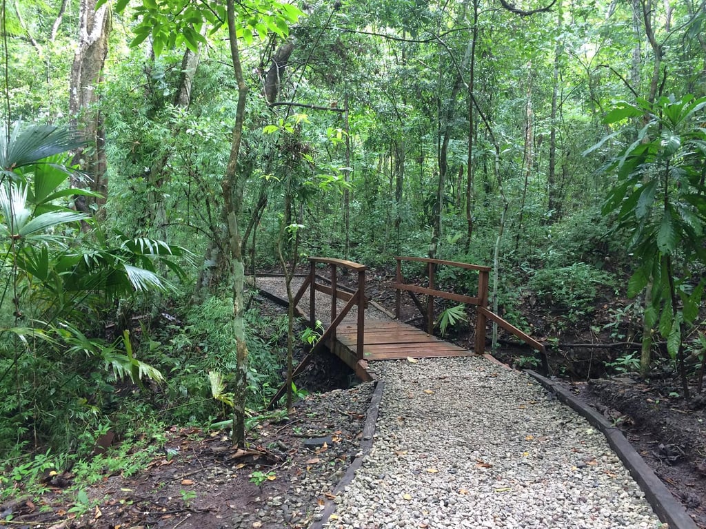 imagen de Parque Natural Metropolitano