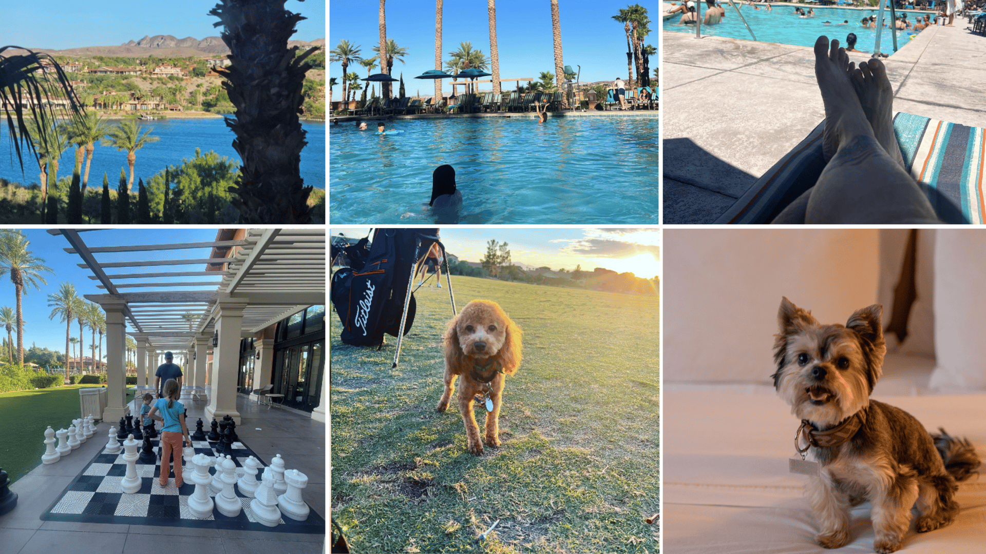 The Westin Las Vegas Hotel & Spa