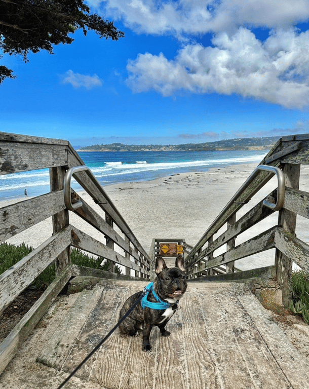 # Cypress Inn, Carmel-by-the-Sea