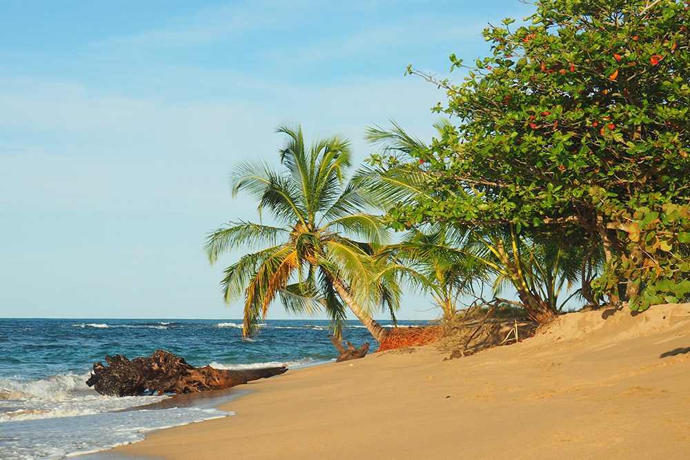 Costa Rica Caribeña: conoce Puerto Viejo y sus tesoros