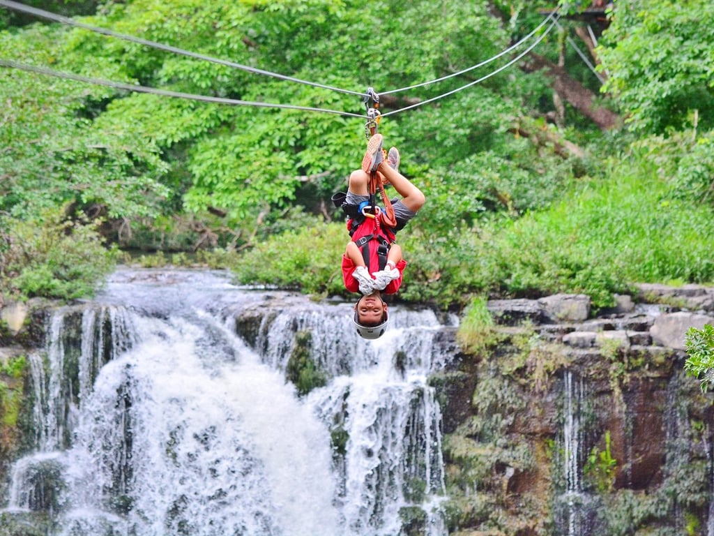 imagen de canopy en ponderosa