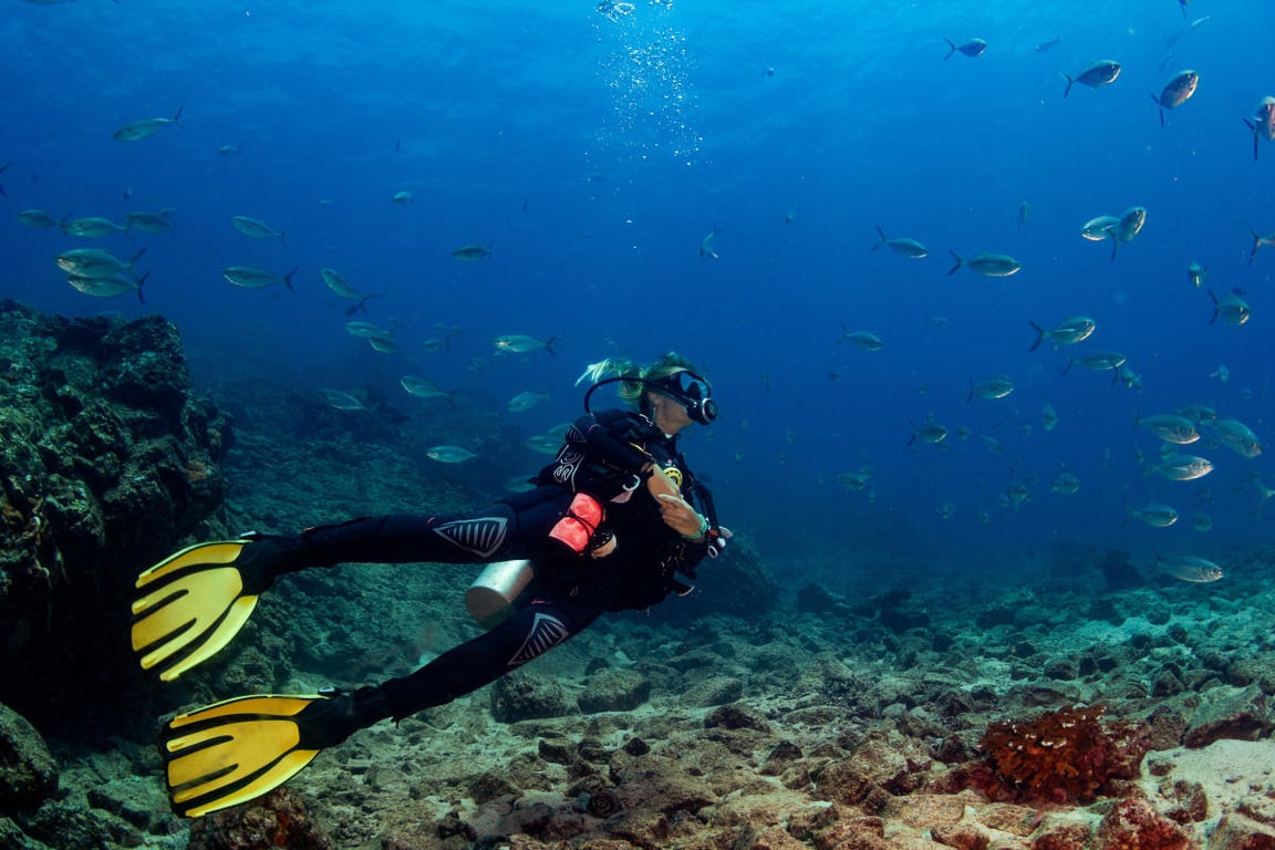 imagen de Parque Nacional Coiba