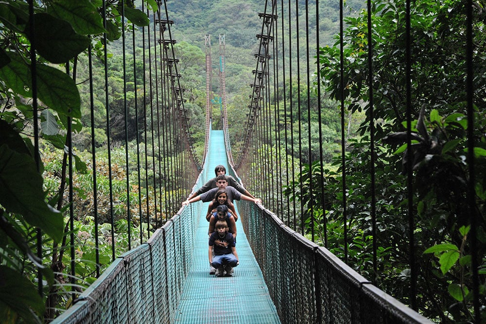 imagen de puente monteverde