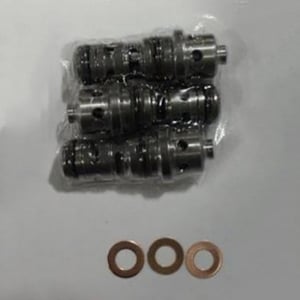 Valve Kit - 8.753-515.0