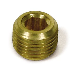 Brass Allen Head Plug