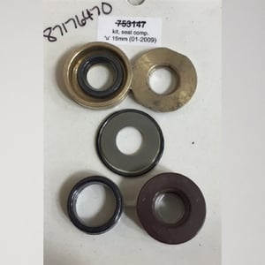 Hotsy Complete U-Seal Kit, 15mm - 8.717-647.0