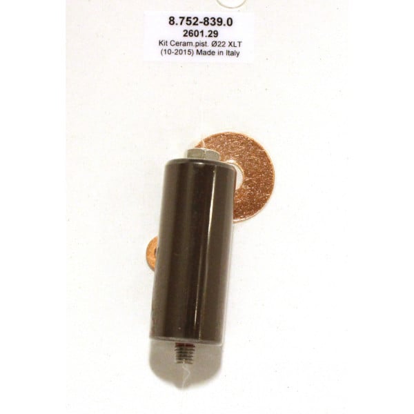 Plunger Kit 22mm - 8.752-839.0