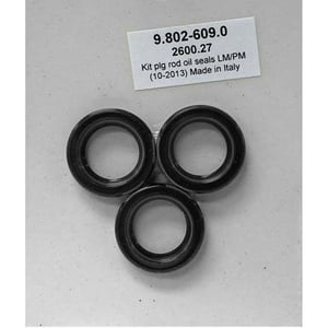 Oil Seal Kit - 9.802-609.0
