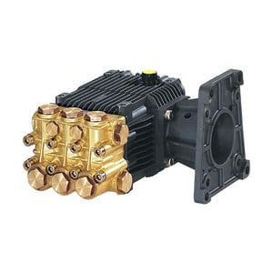 AR RK Series Hollow Shaft Pump with D-Flange