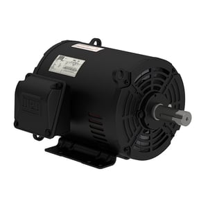 WEG Motor