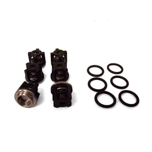 Annovi Reverberi Valve Kit with O-Rings