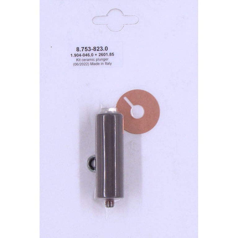 Plunger Kit, 18mm - 8.753-823.0