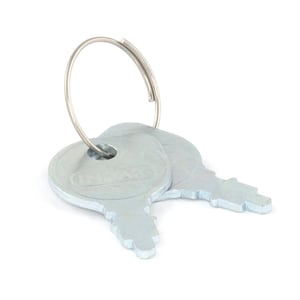 Key Set - Briggs & Stratton 691959