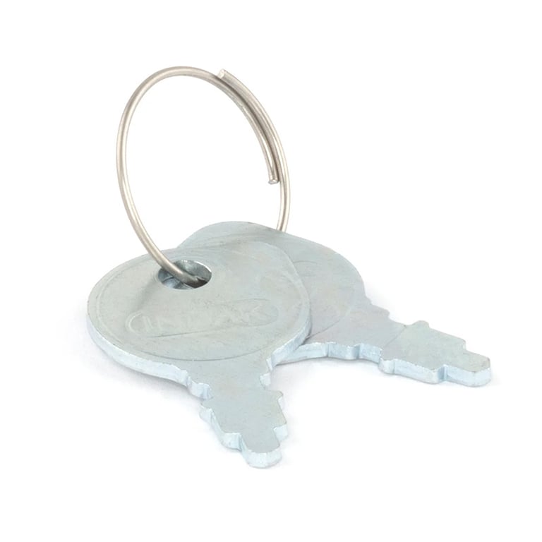Key Set - Briggs & Stratton 691959
