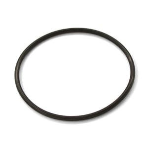 Filter O-Ring