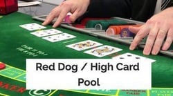 red dog (high Card Pool) casino card game